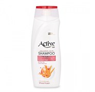 ACTIVE ИРАН / Шампунь для окрашенных волос CARE & BEAUTY. С кератином и пшеничным протеином, 350 мл  ББ01310